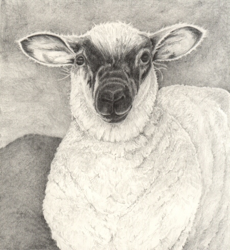 The Lamb at Edlesborough, © 2010 Jess Knowles
