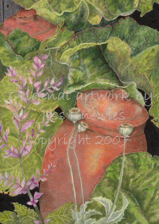Rhubarb pots, © 2007 Jess Knowles